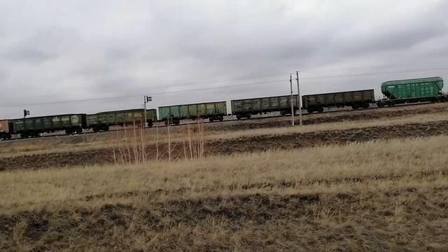 2ТЭ10, с грузовым поездом. Перегон Кулунда - Кильты. Южносибирская магистраль. Западно-Сибирская жд