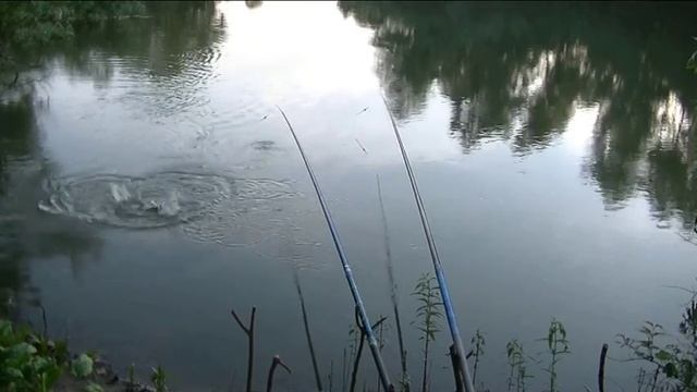 Рыбалка на даче. Язь! смотреть онлайн