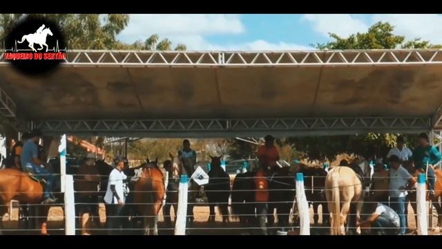 Arthur Locio - Filha de doutor - [Vaqueiro Do Sertão] смотреть онлайн