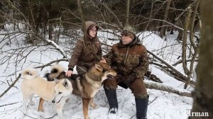 Как должна выглядеть охот.лайка по мнению Борисёнка!!!