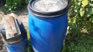 Свежий куриный помёт для сада. Что будет? Наглядно