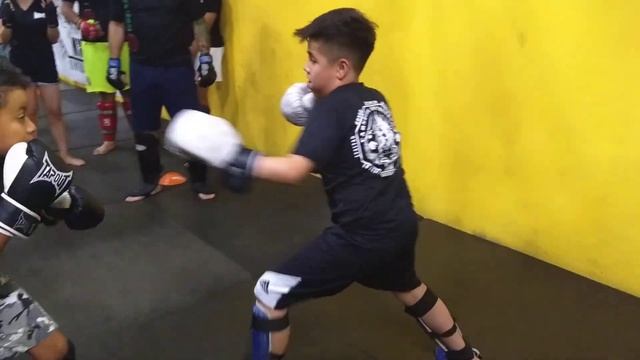Niños de la misma academia haciendo sparring смотреть онлайн