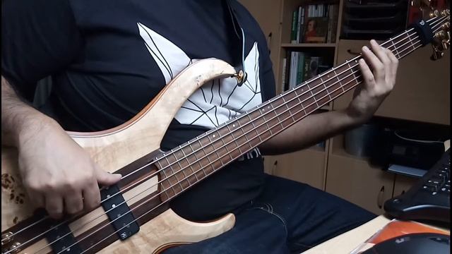 Yo no se bailar (bachata) bass cover смотреть онлайн