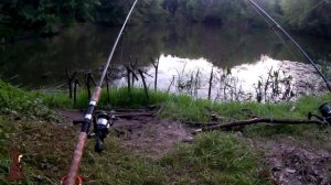 Ночная ловля сома с берега на донки. Летняя рыбалка на сома