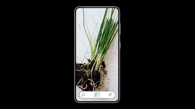 FIGMA MOCKUP - Plante! APP 2022 смотреть онлайн