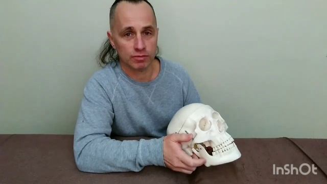 Техника коррекции окципито-мастоидального шва. Вариант смотреть онлайн
