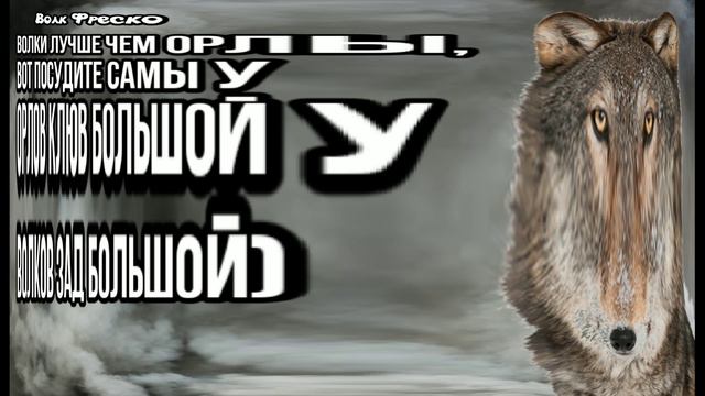 ВОЛК ФРЕСКО В ДЕЛЕ 😎 смотреть онлайн