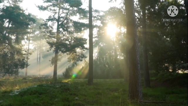 Мама Самвела, Т.В Адамян и мужчины в её жизни часть 1. #SaveliyAdютуб #МамаСамвела #СамвелАдамян