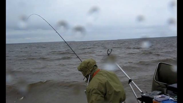 Ловля леща на фидер на Рыбинке, Рыбинском водохранилище смотреть онлайн