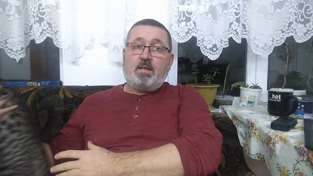 Как избавиться от мышей в доме. Начало битвы