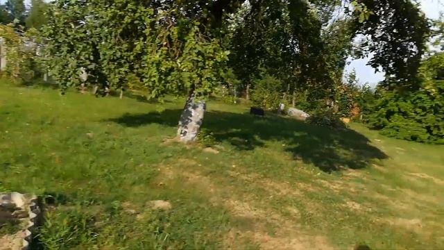 Кулинарные Изыски и Гурманство