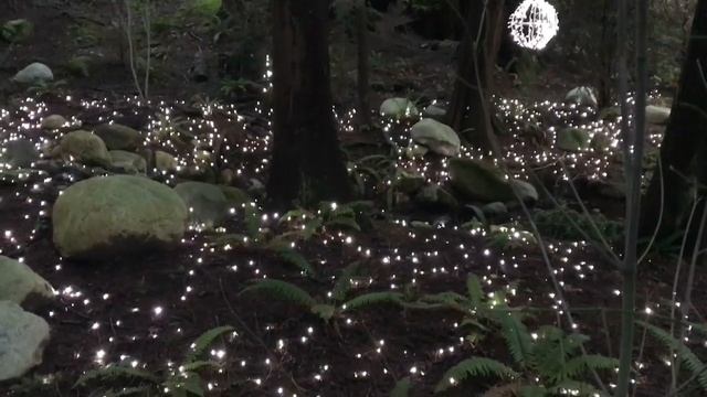 Capilano Suspension Bridge | A Walk Through the Wilderness смотреть онлайн