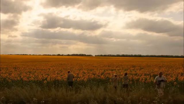 Мой Ставропольский край смотреть онлайн