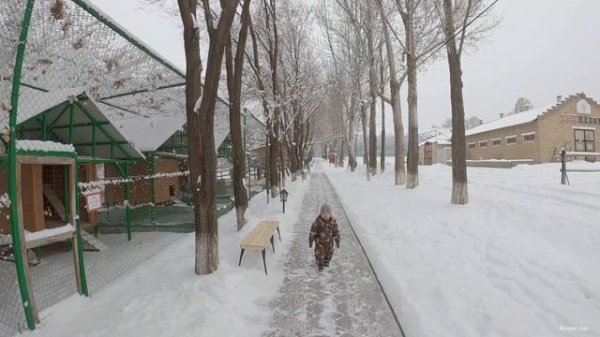 АУЛ РЕЗОРТ - Aul Resort, Казахстан, 2021. База отдыха. Полный обзор.