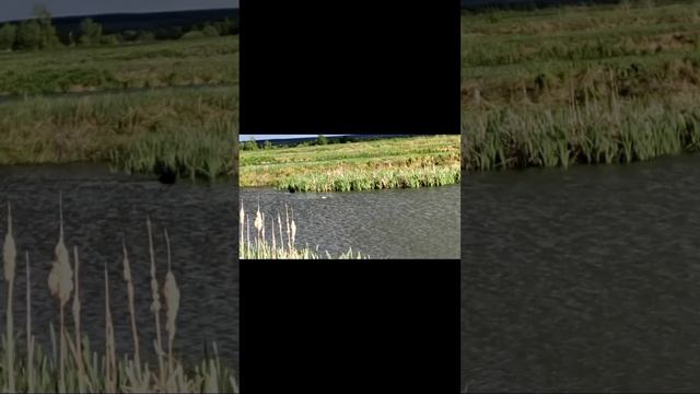 Охота со Старым: закрытие Сезона Охоты смотреть онлайн