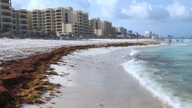 Walking Cancun Beach In ⁴ᴷ⁶⁰