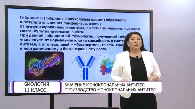 Биология. 11 класс. Значение моноклональных антител. Производство моноклональных антител