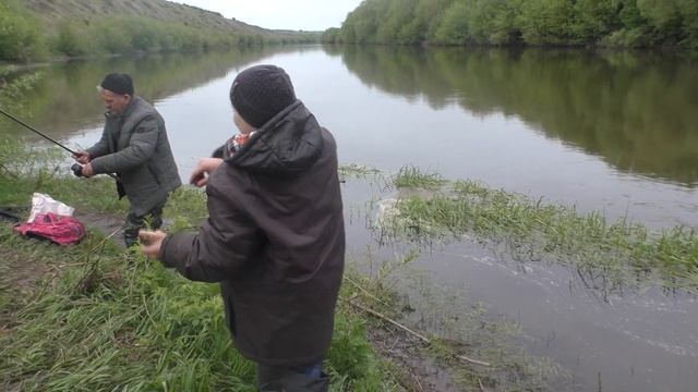 Рыбачим на Сосне! Сын меня уделал! смотреть онлайн