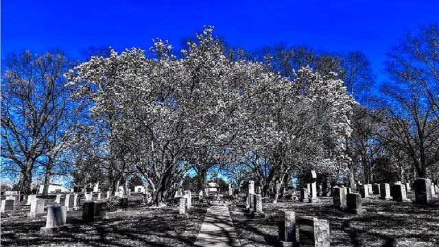 Absention смотреть онлайн