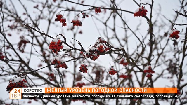 Желтый уровень погодной опасности смотреть онлайн