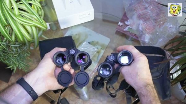 Swarovski для нищих! Или обзор бинокля Svbony sv202 8x32, сравнение с sv47 8x32