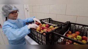 Лучшая школьная столовая