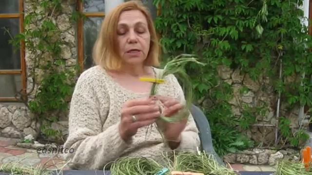 Листья юкки. Юкка как использовать смотреть онлайн