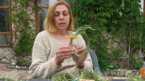 Листья юкки. Юкка как использовать