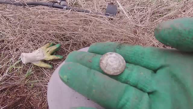коп в лесу 2 ч туманшет смотреть онлайн