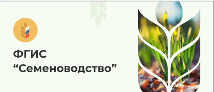 Создание документа Реализация семян в ФГИС "Семеноводство" (видеоинструкция) смотреть онлайн