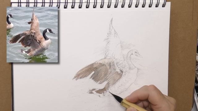 Watercolor Over Graphite – 5 Reasons I'm in Love With This Art Technique! смотреть онлайн