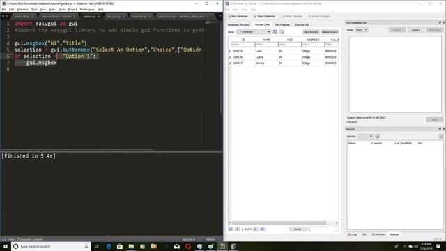 Year Database (SQLite) & Python 3 [2. Easy Gui Basic Functions] смотреть онлайн