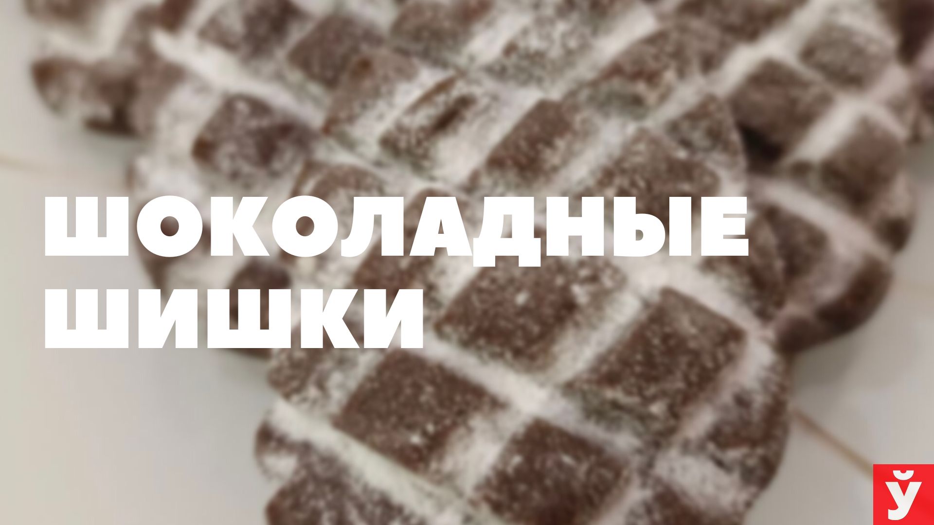 Печенье «Шоколадные шишки»