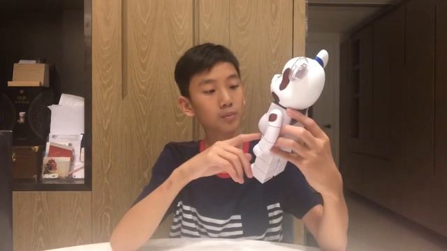UNBOXING 7 MEDICOM BEARBIRCKS + KUBRICKS | KAWS | 4 400% + 3 100% смотреть онлайн