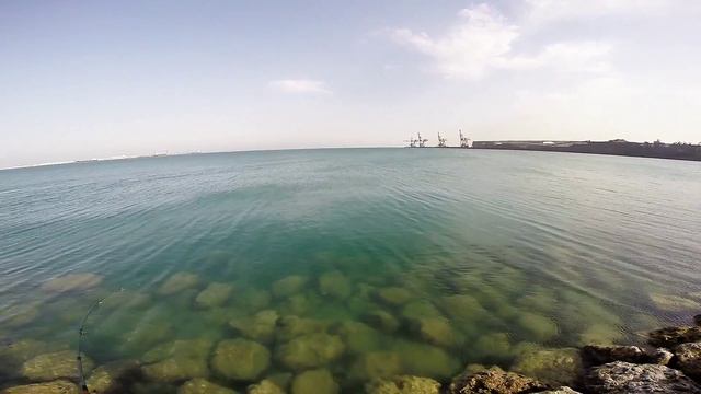 Barracuda day with DUO luers TOTO смотреть онлайн