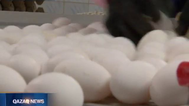 04 02 15 Убытки птицефабрики смотреть онлайн
