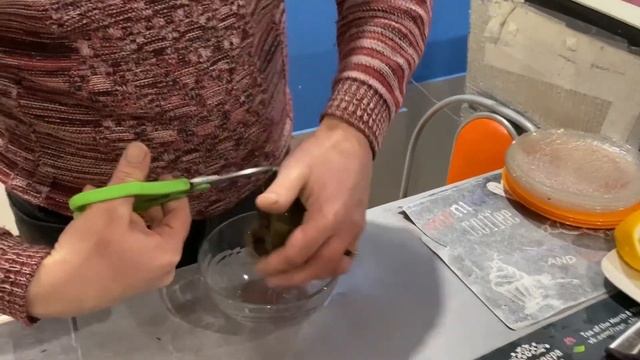 Мурманск. Ежи на Морском вокзале. Автобус из Териберки. Как НЕ купить рыбу в Мурманске. смотреть онлайн