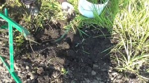 чудо лопата легко копать или Обзор и опыт применения