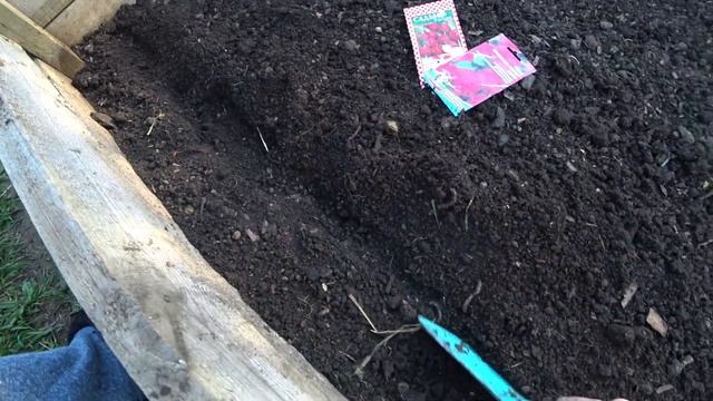 Редис без стрелок смотреть онлайн