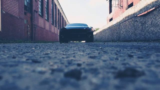 Mustang in old district of Warsaw смотреть онлайн