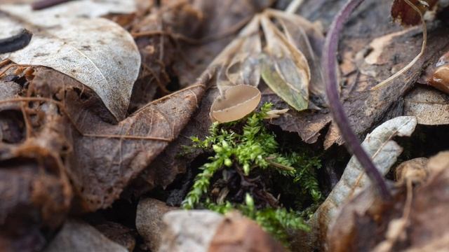 230226 Badín смотреть онлайн
