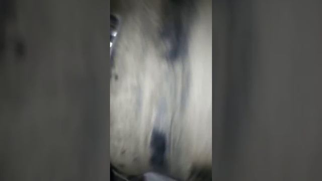 Volvo S60 замена бензонасоса со снятием бака смотреть онлайн