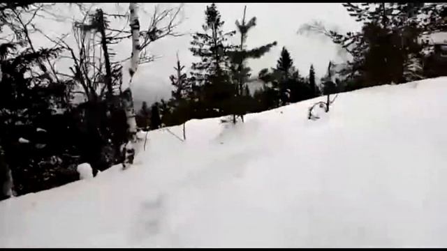 Женьку занесло в дебри Урала на тайге варяг 550 смотреть онлайн