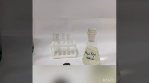 Опыт № 1. Свертывание белков при нагревании