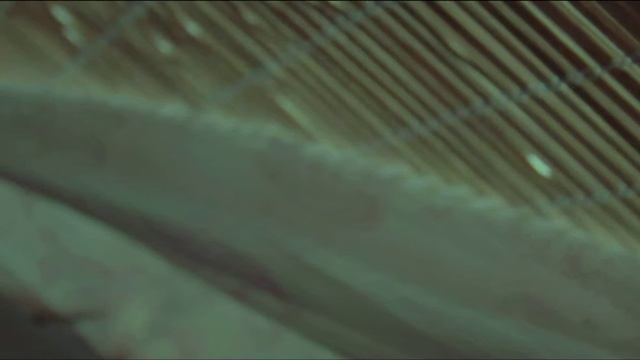 Luc Kemp - In the Bedroom смотреть онлайн