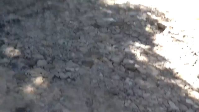 Речной краб смотреть онлайн