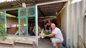 Николаевские голуби г.Торез.(Димон Агроном)