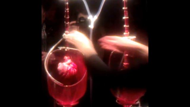 Pig Heart (Science Gallery - Dublin) смотреть онлайн