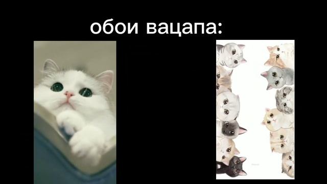 Делаем твой телефон в стиле кошек??? смотреть онлайн