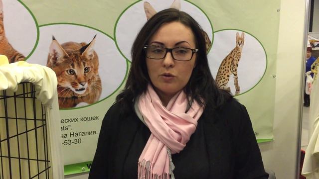 #3. Каракет (Caracat). Чем кормить каракета?